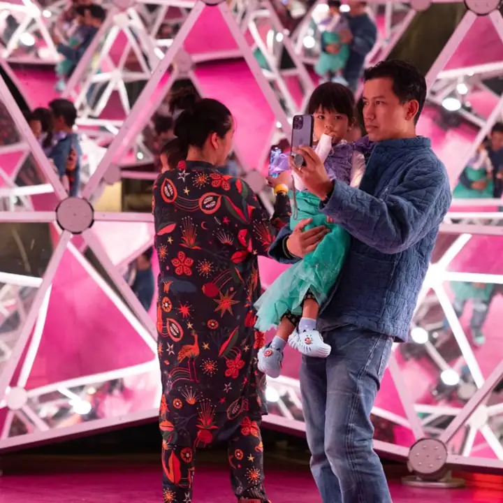 Families in the mirror dome
